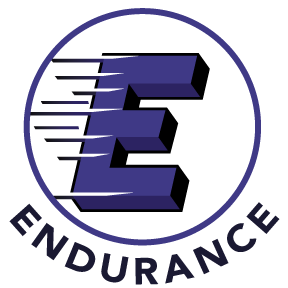 endurance insurance company
